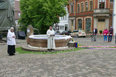 Bluemteppich auf dem Naumburegr Marktplatz (Foto: Karl-Franz Thiede)